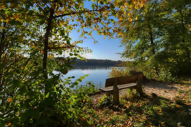 在英超賽場 在英超賽場