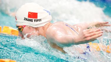 金的比赛中 金的比赛中