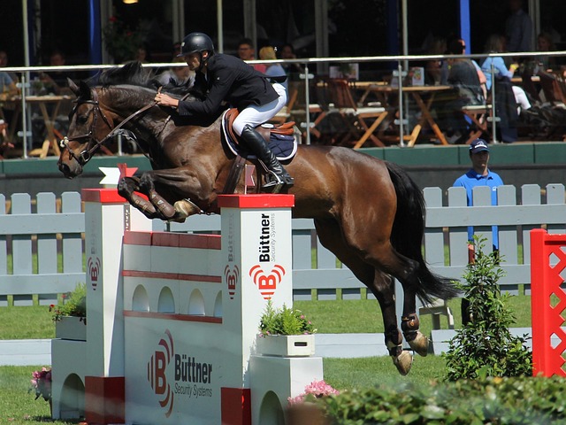 地域上的迁 地域上的迁