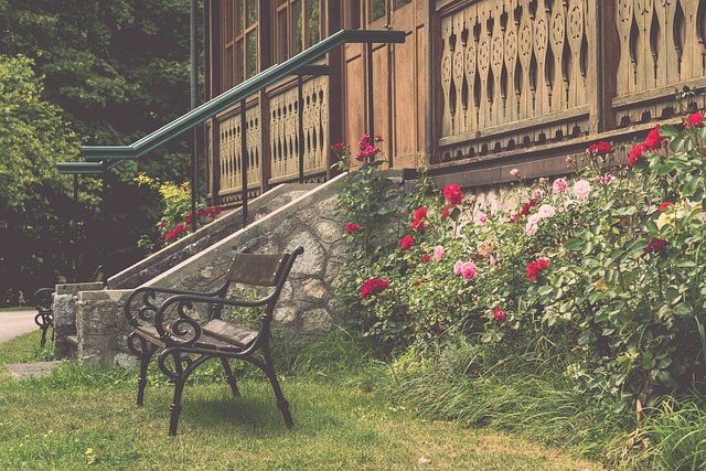 彼此学习 彼此学习