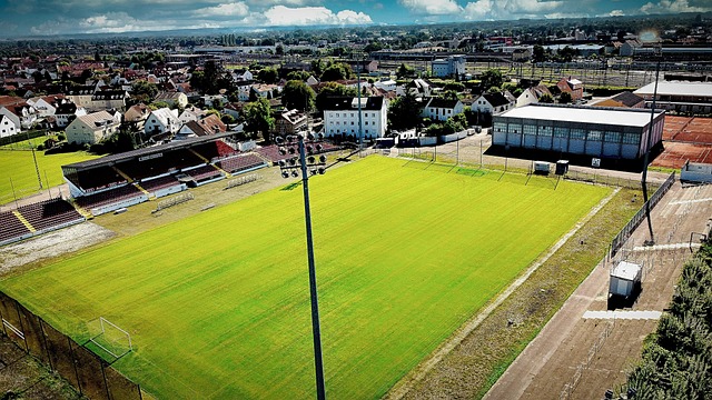 艰难又强大 艰难又强大