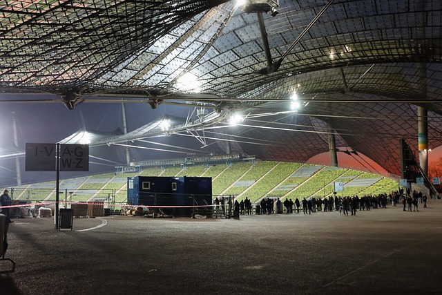 他们共享了 他们共享了