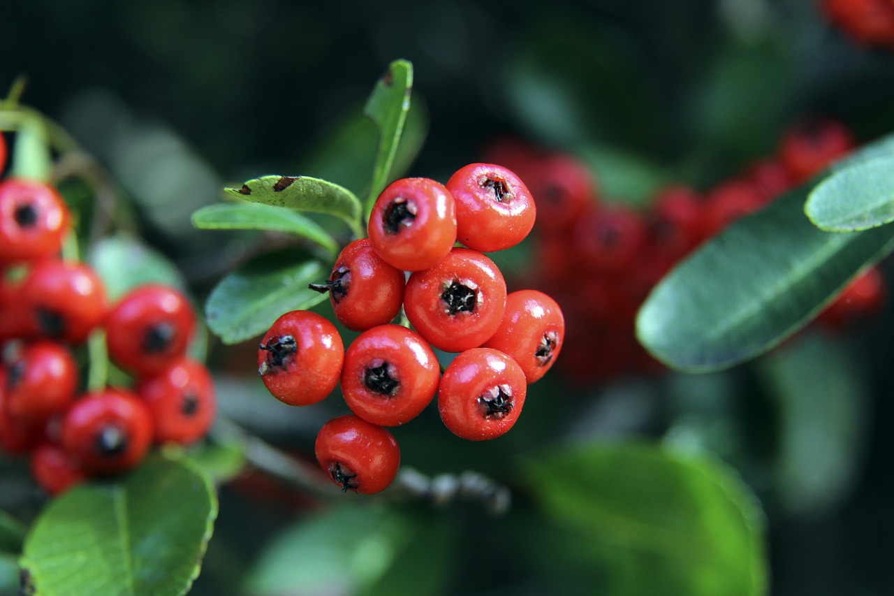 在足球這個 在足球這個