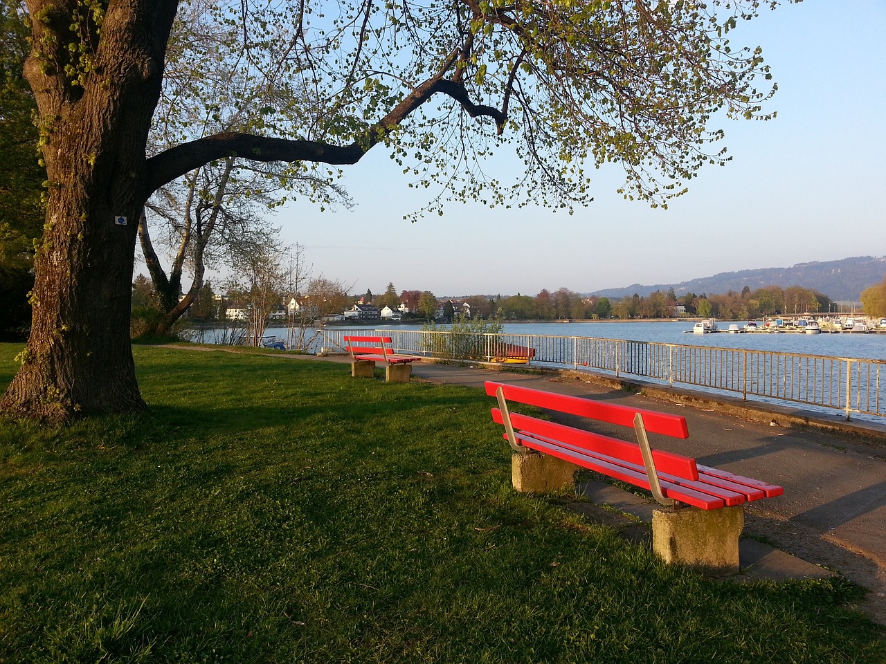 接受专门的 接受专门的